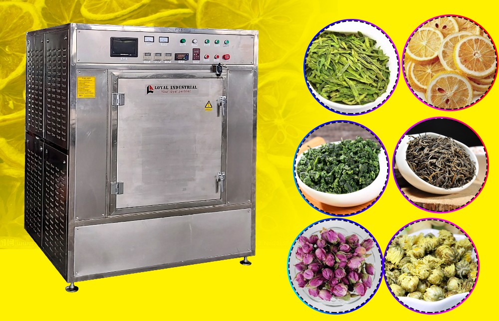 Microwave Vegetable Drying Machine/Vegetable Dehydrator Manufacturer