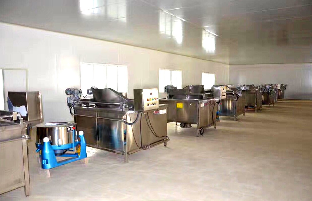 batch frying machine