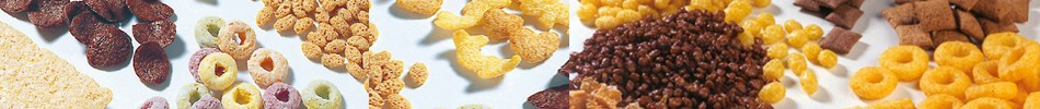 snack food of twin screw food extruder