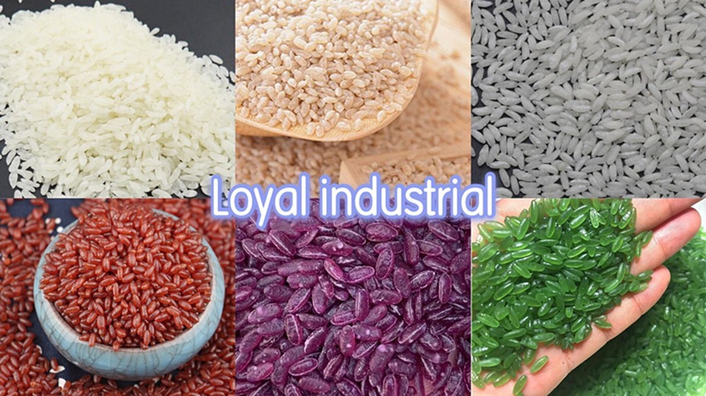 nutritional artificial rice processing line