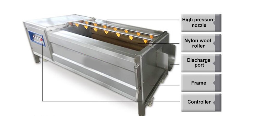 Vegetable Brush Washer Process For Sale