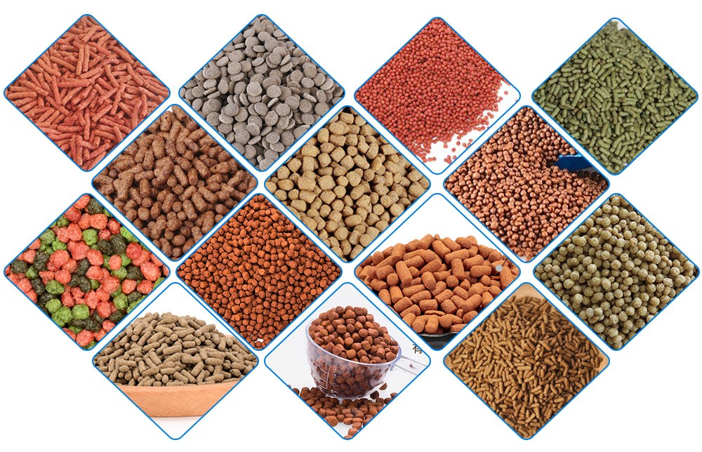 FISH FEED MAKING MACHINE MANUFACTURING