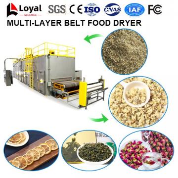 Industrial Fruit Dryer