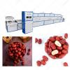 Industrial Microwave Date Drying Sterilizing Machine