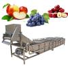 Industrial Fruit and Vegetable Washing Machine #1 small image