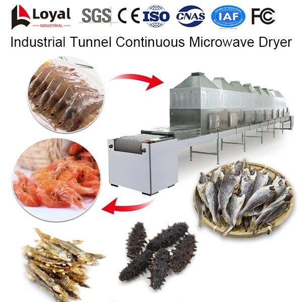 Industrial Tunnel Continuous Microwave Dryer #2 image