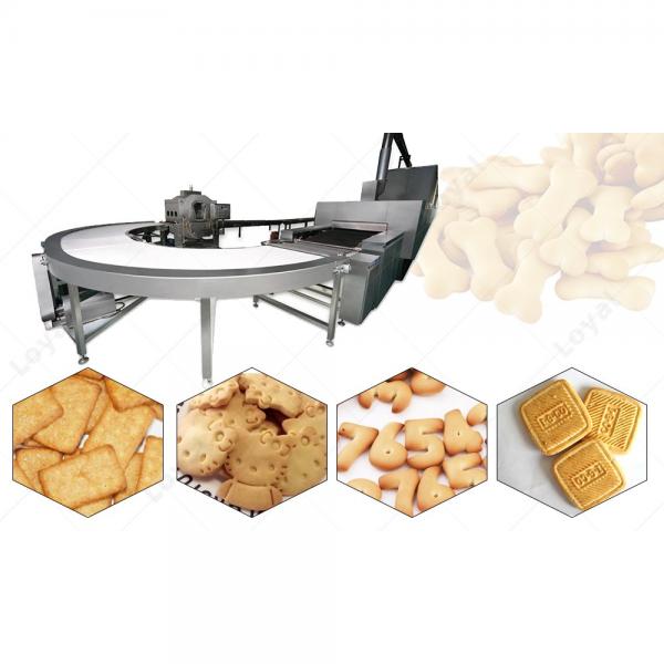 Introduction Of  Biscuit Making Machine #1 image