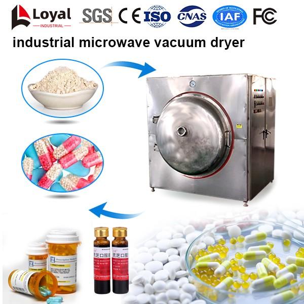 Industrial Microwave Vacuum Dryer #2 image