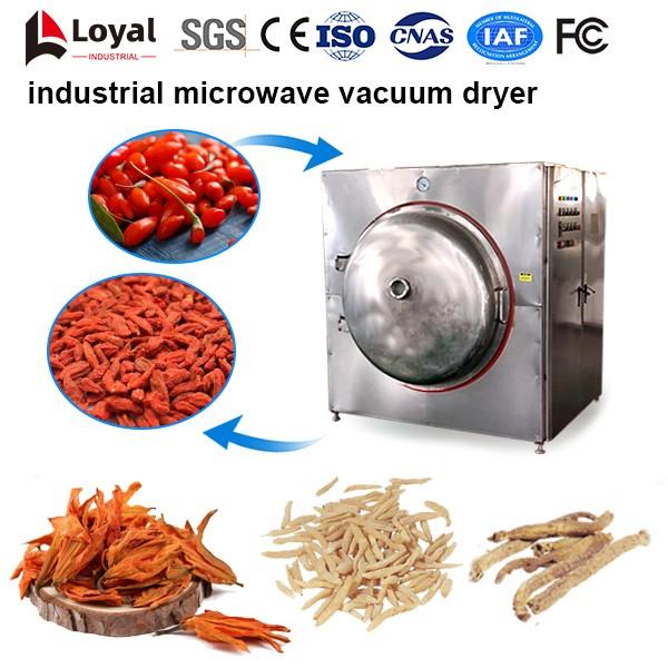 Industrial Microwave Vacuum Dryer #4 image