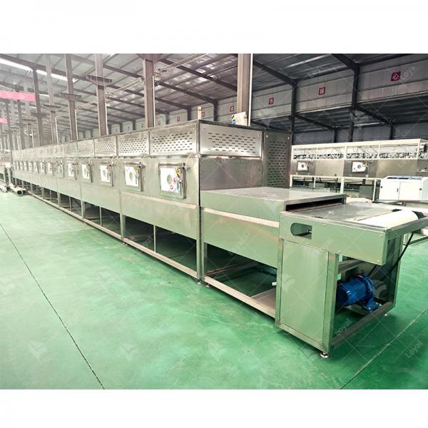 Industrial Continuous Belt Microwave Dehydrator Mealworm Drying Machine #2 image