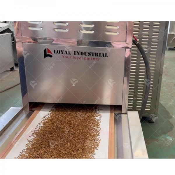 Factory Use Microwave Insect silkworm chrysalis Tunnel Dehydrator Drying Machine Dryer #1 image