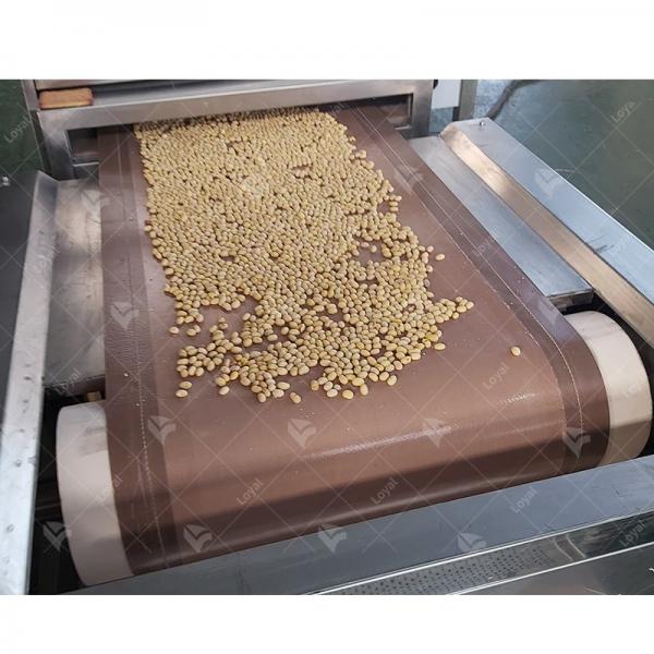 Great Quality Industrial Continuous Microwave Tunnel Dryer For Soybean Drying #1 image