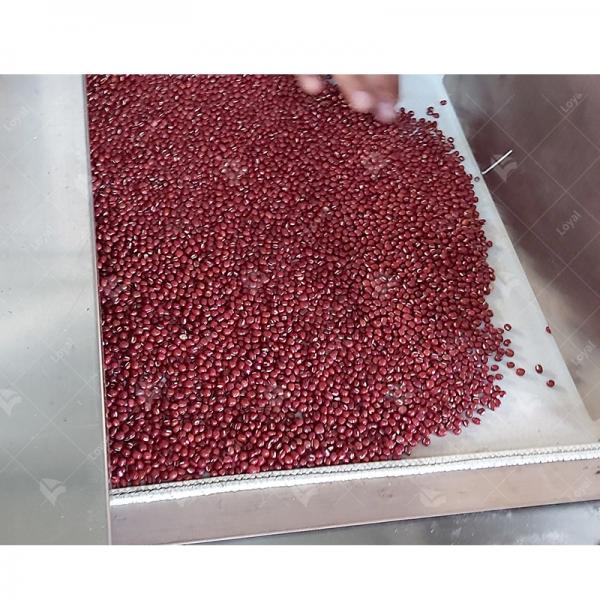 Great Quality Industrial Continuous Microwave Tunnel Dryer For Soybean Drying #5 image