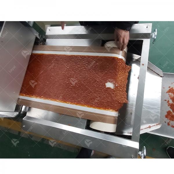 Industrial Microwave Chili Paprika Powder Sterilization Drying Machine #1 image