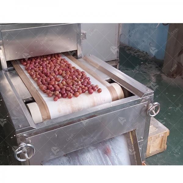 Industrial Microwave Quick Defrost Machine For Frozen Fruit #1 image