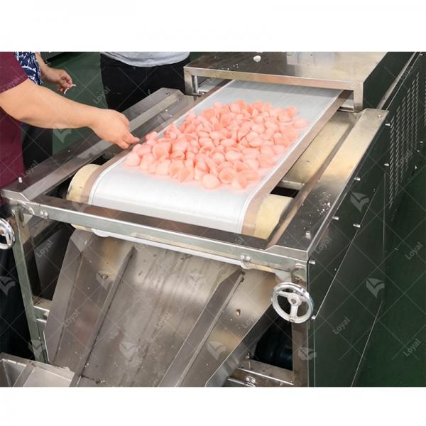 PLC control Industrial Tunnel Continuous microwave puffed prawn cracker Microwave machine #1 image