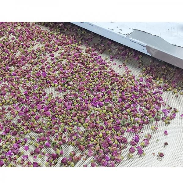 Industrial Microwave drying machine for Rose flower #1 image
