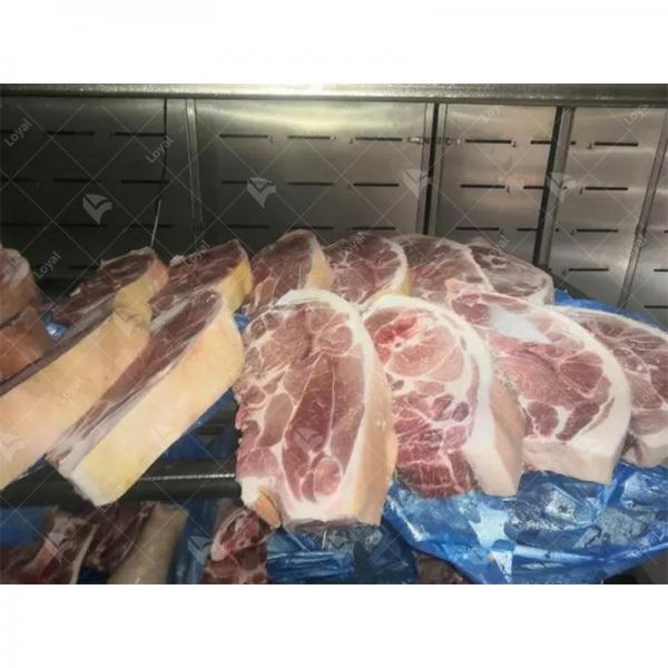 Industrial meat Defrosting Equipment #2 image