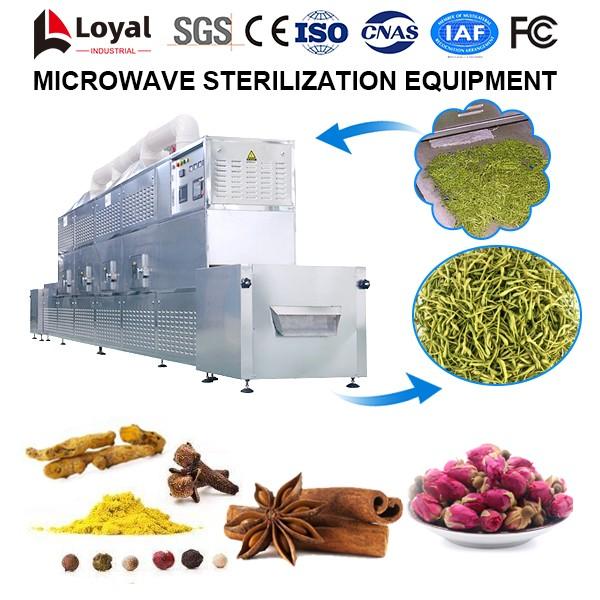Microwave condiment drug Sterilization Equipment #2 image