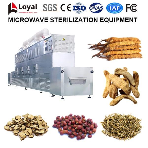 Microwave condiment drug Sterilization Equipment #4 image