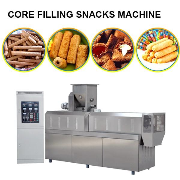 Twin Screw Food Extruder Machine #2 image