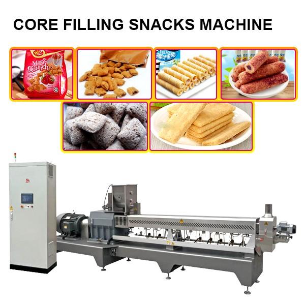 Twin Screw Food Extruder Machine #3 image