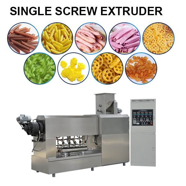 Single Screw Extruder Food Processing Machine #1 image