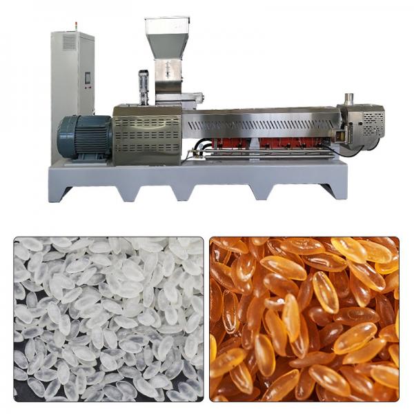 Large Capacity 500kg/h Fortified Rice Kernels (Frk) Extruder Machine #1 image