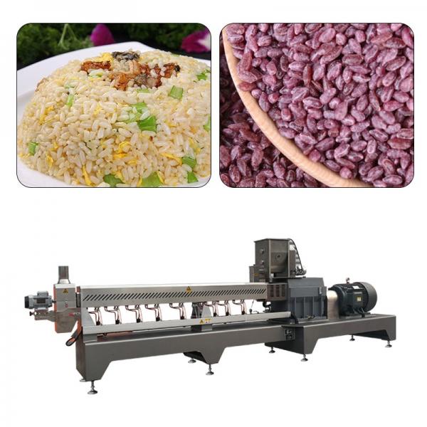 Large Capacity 500kg/h Fortified Rice Kernels (Frk) Extruder Machine #2 image