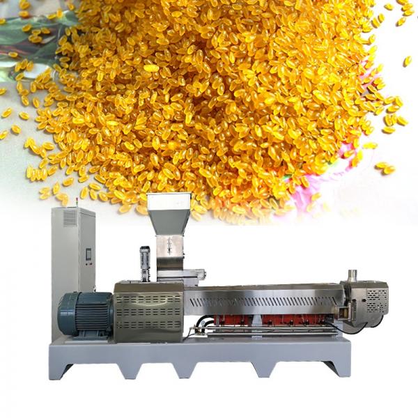 Large Capacity 500kg/h Fortified Rice Kernels (Frk) Extruder Machine #3 image