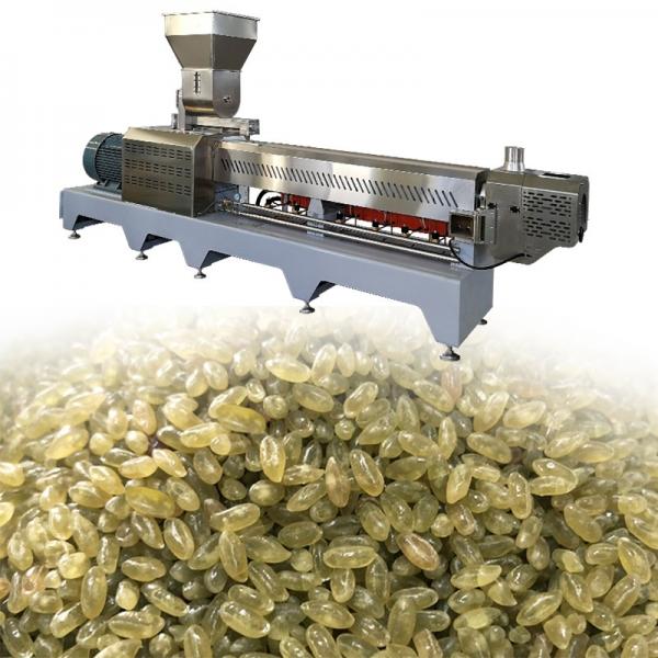 Large Capacity 500kg/h Fortified Rice Kernels (Frk) Extruder Machine #4 image