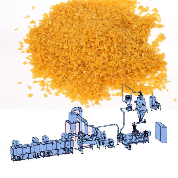 Large Capacity 500kg/h Fortified Rice Kernels (Frk) Extruder Machine #5 image