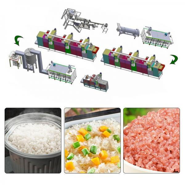 Large Capacity 500kg/h Fortified Rice Kernels (Frk) Extruder Machine #6 image