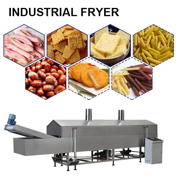Automatic Continuous Deep Fat Fryers Machine #3 image