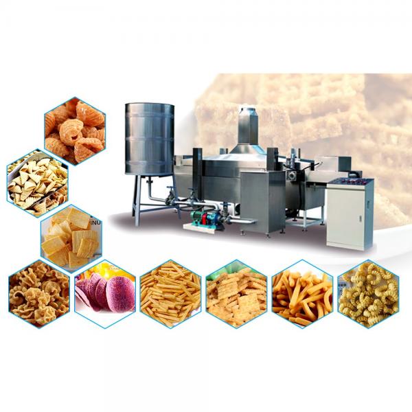 Industrial Deep Fryer Machine Systems #4 image