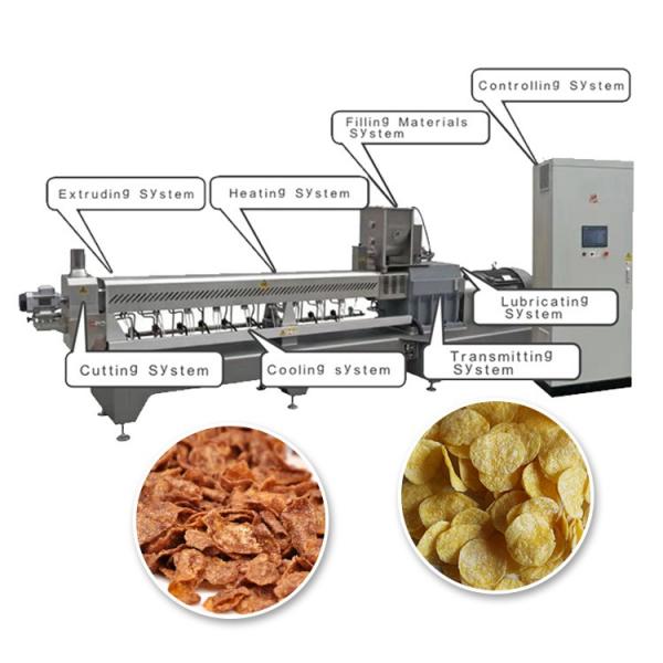 BREAKFAST CEREAL PRODUCTION LINE #1 image
