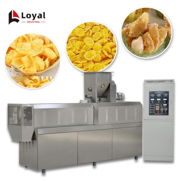 CORN FLAKES PRODUCTION PROCESS LINE 100T/DAY #2 image