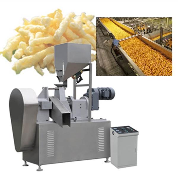 Sunshine Snacks Corn Curls Manufacture Process Line #2 image