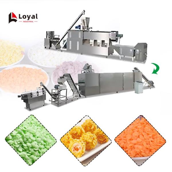 Japanese Bread Crumbs Processing Line #3 image