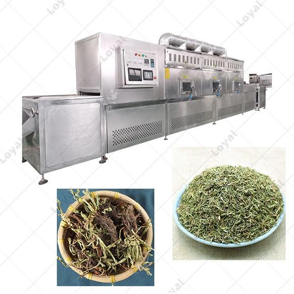 Fully Automatic Herbs Leaves Tea Industrial Belt Type Microwave Dryer Microwave Drying Machine #3 image