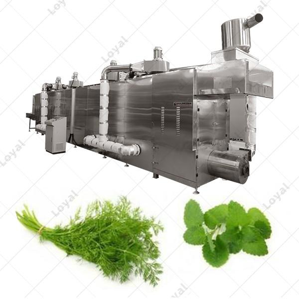 Fully Automatic Herbs Leaves Tea Industrial Belt Type Microwave Dryer Microwave Drying Machine #5 image