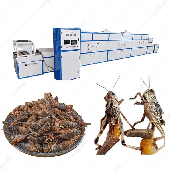 Factory Use Microwave Insect silkworm chrysalis Tunnel Dehydrator Drying Machine Dryer #2 image