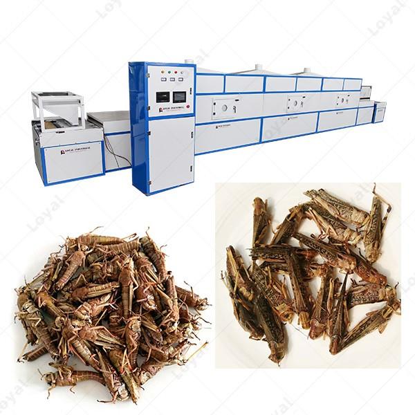 Factory Use Microwave Insect silkworm chrysalis Tunnel Dehydrator Drying Machine Dryer #3 image