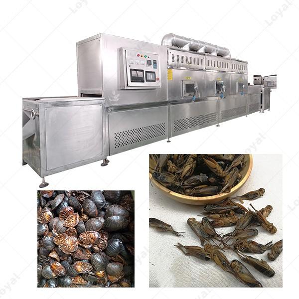 Factory Use Microwave Insect silkworm chrysalis Tunnel Dehydrator Drying Machine Dryer #4 image