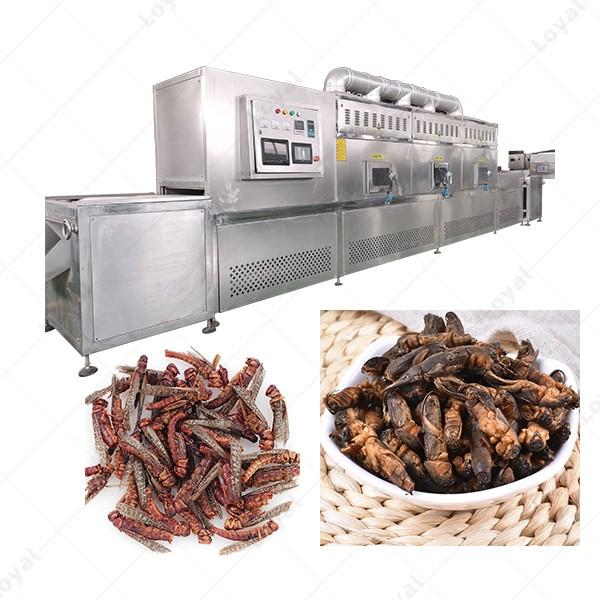 Factory Use Microwave Insect silkworm chrysalis Tunnel Dehydrator Drying Machine Dryer #5 image