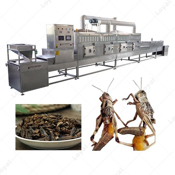 Factory Use Microwave Insect silkworm chrysalis Tunnel Dehydrator Drying Machine Dryer #6 image