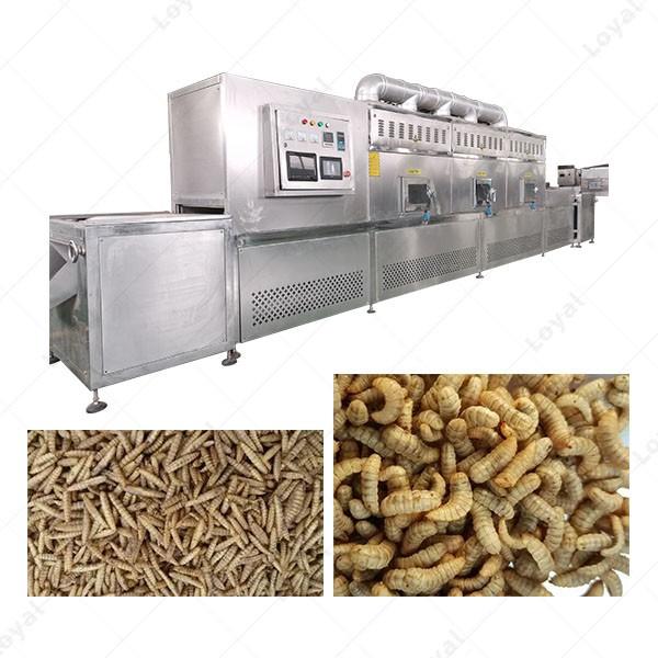 Industrial Microwave Black Soldier Fly Larvae Drying Machine #3 image