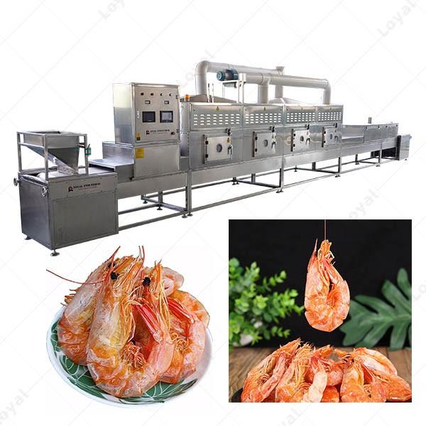150Kw Fully Automatic Industrial Continuous Microwave Shrimp Drying Machine #2 image