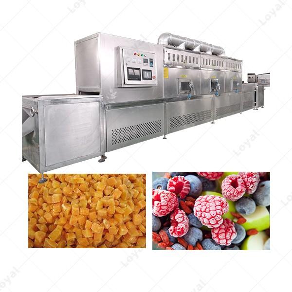 Industrial Microwave Quick Defrost Machine For Frozen Fruit #2 image