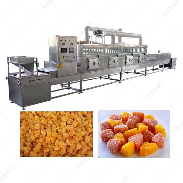 Industrial Microwave Quick Defrost Machine For Frozen Fruit #3 image